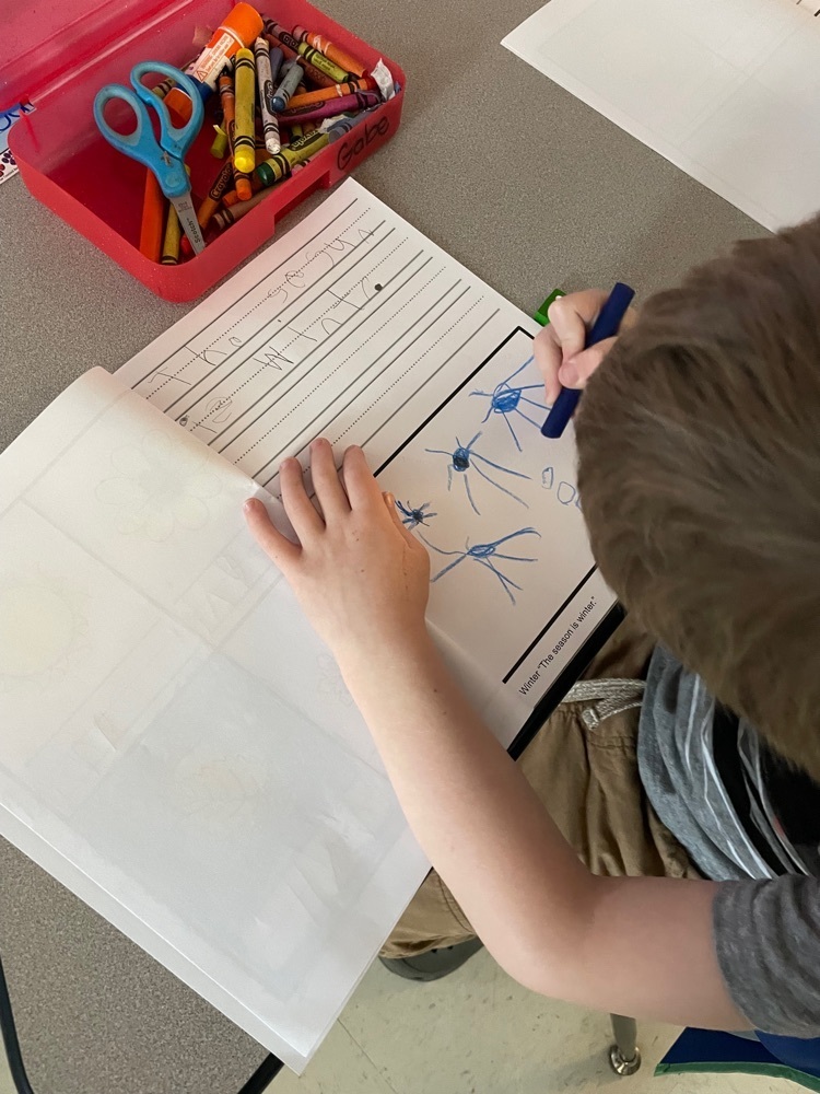 Kdg