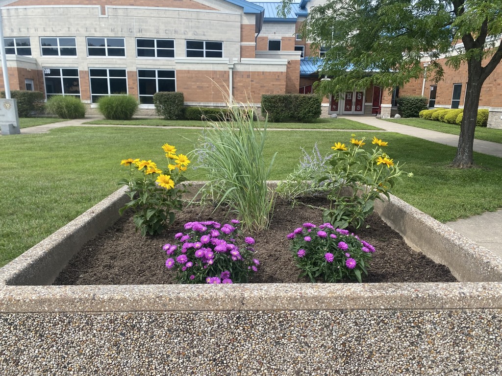 beautification project