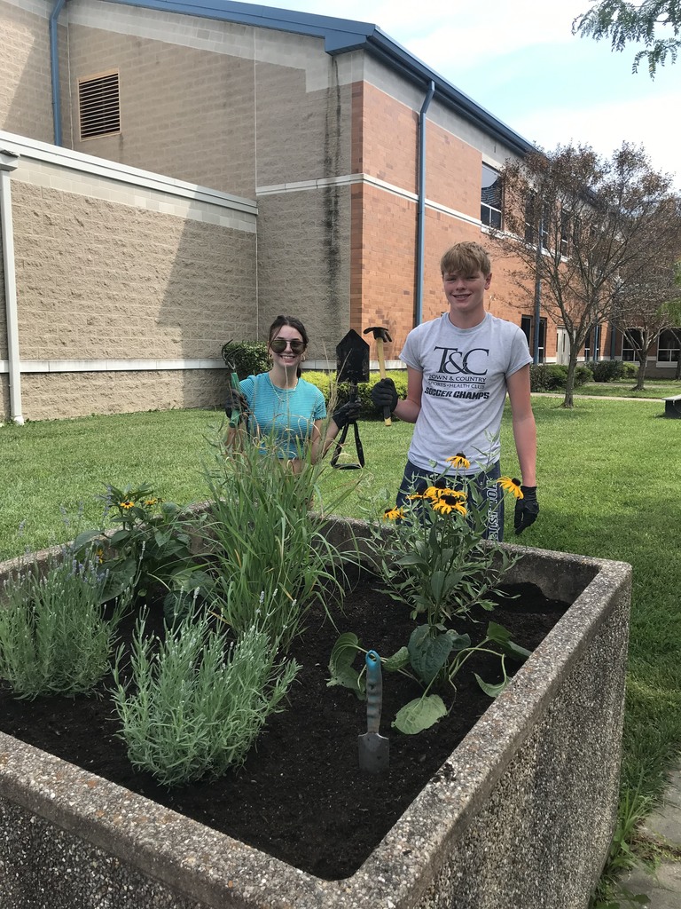 beautification project